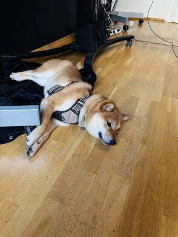 Satoshi